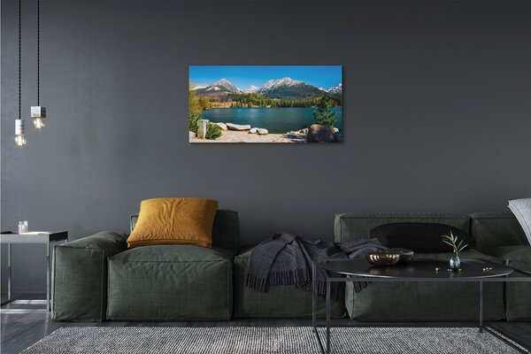 Tablouri canvas lac de munte