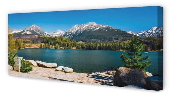 Tablouri canvas lac de munte