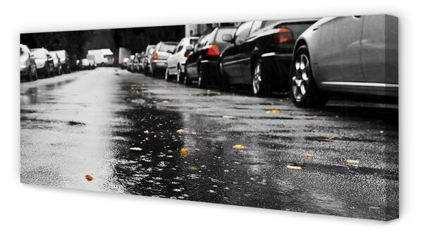 Tablouri canvas Mașină rutier frunze de toamna