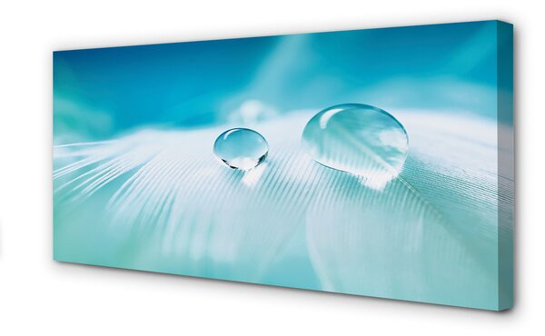 Tablouri canvas Picături de apă macro