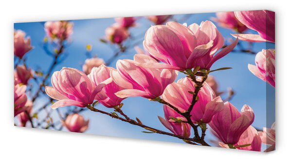 Tablouri canvas flori de copac