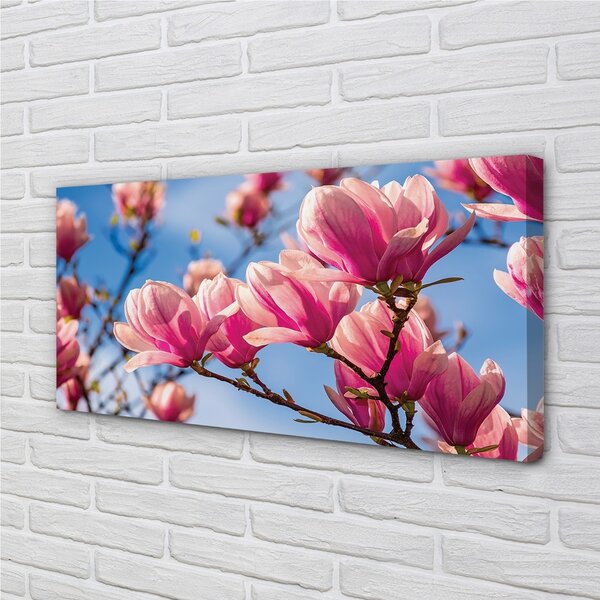 Tablouri canvas flori de copac