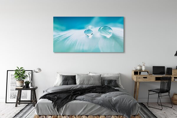 Tablouri canvas Picături de apă macro