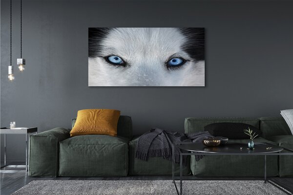 Tablouri canvas ochi de lup