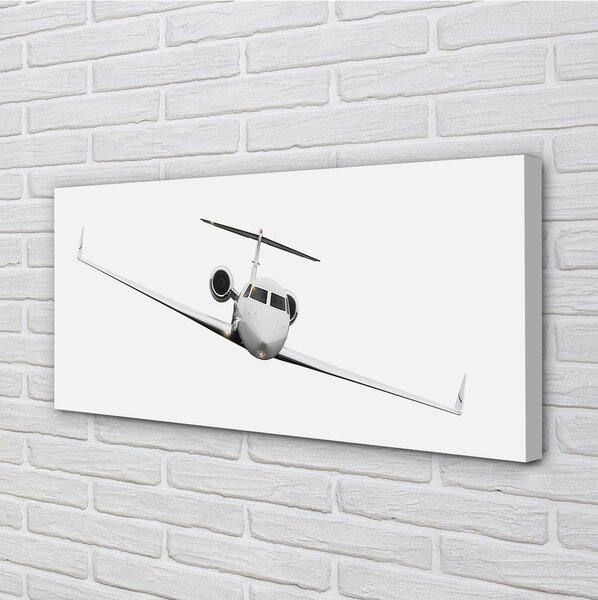 Tablouri canvas avion cer
