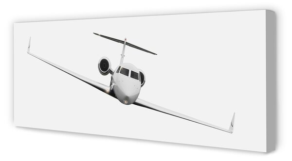 Tablouri canvas avion cer