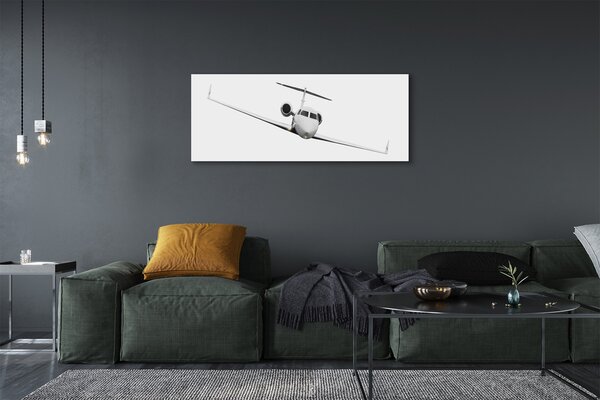 Tablouri canvas avion cer