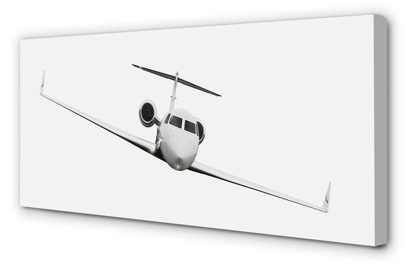Tablouri canvas avion cer