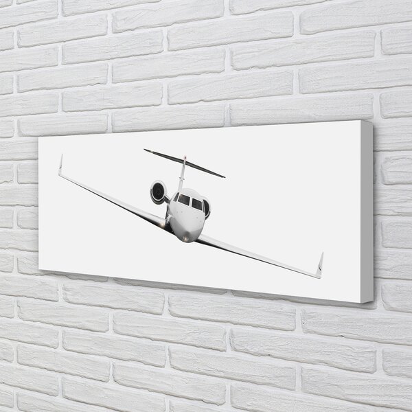 Tablouri canvas avion cer