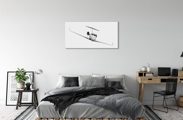 Tablouri canvas avion cer