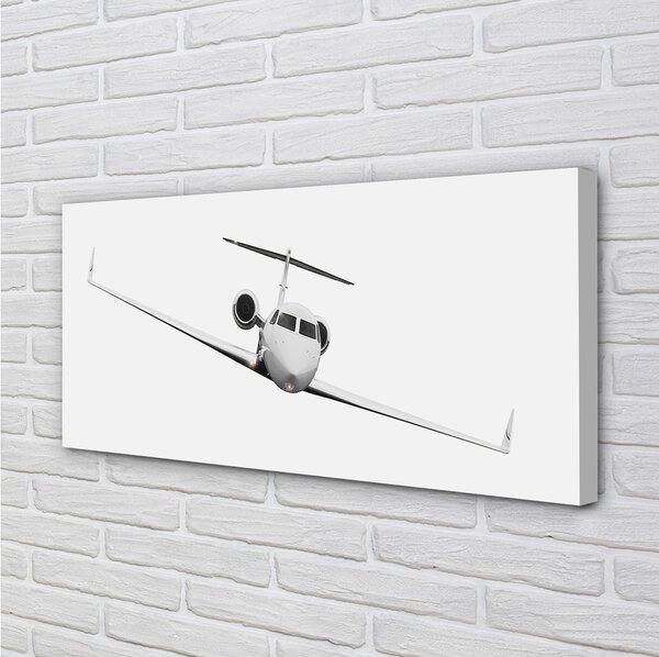 Tablouri canvas avion cer
