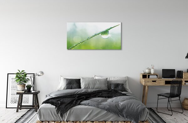 Tablouri canvas Picătură iarbă macro