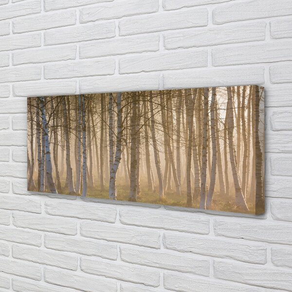 Tablouri canvas copac pădure Sunrise