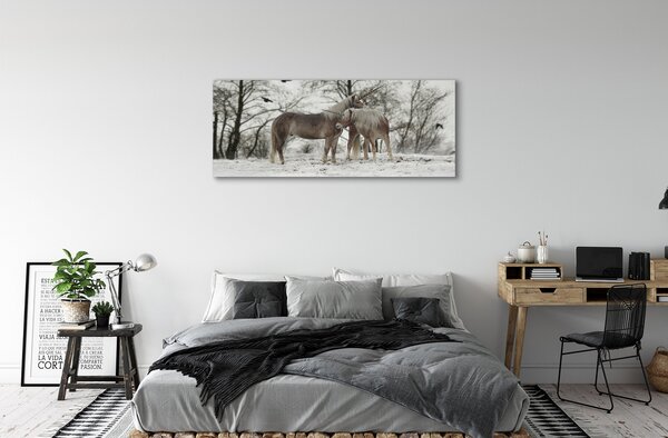 Tablouri canvas Iarna unicorni pădure