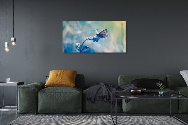 Tablouri canvas fluture colorat