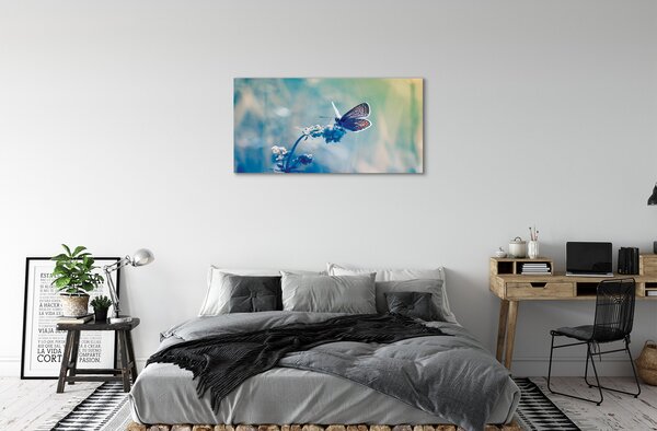 Tablouri canvas fluture colorat