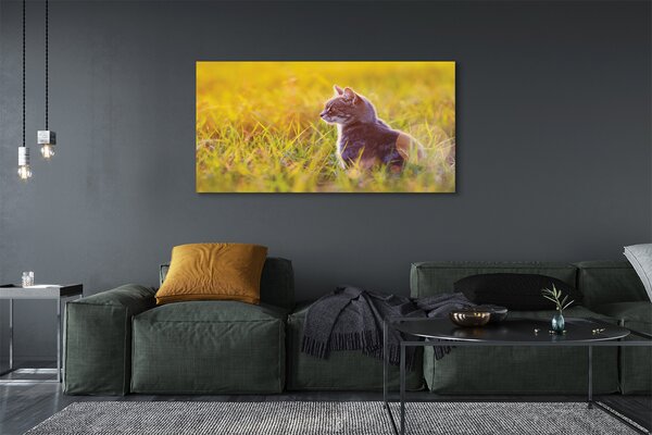 Tablouri canvas pisică de vânătoare