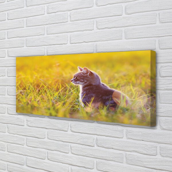 Tablouri canvas pisică de vânătoare