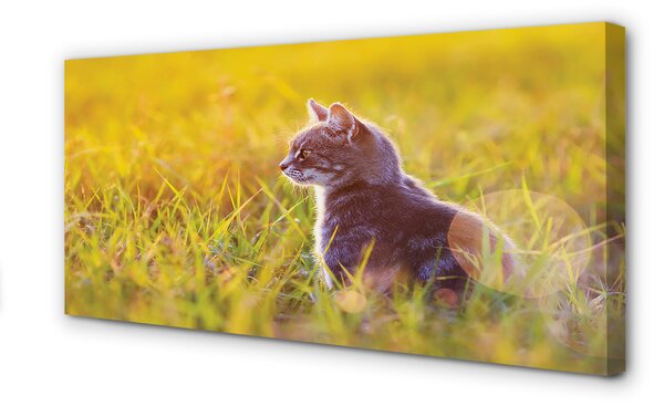 Tablouri canvas pisică de vânătoare