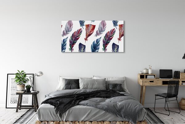 Tablouri canvas pene colorate