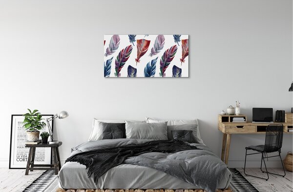 Tablouri canvas pene colorate