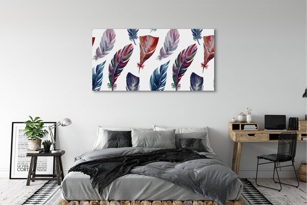 Tablouri canvas pene colorate