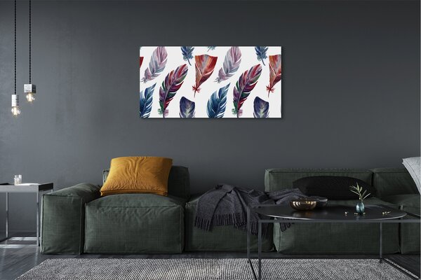 Tablouri canvas pene colorate