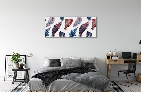 Tablouri canvas pene colorate