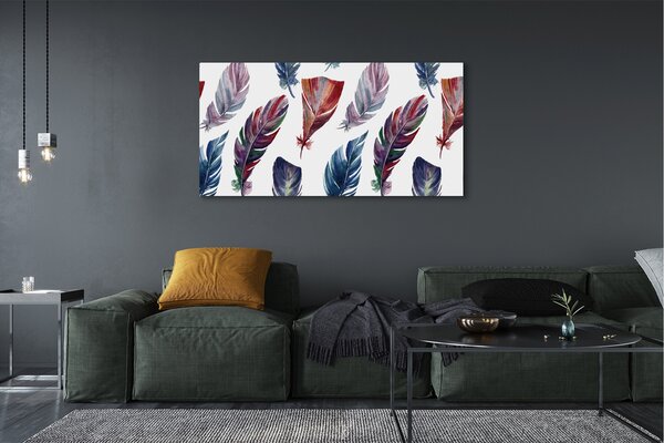 Tablouri canvas pene colorate