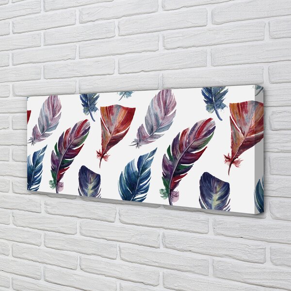Tablouri canvas pene colorate