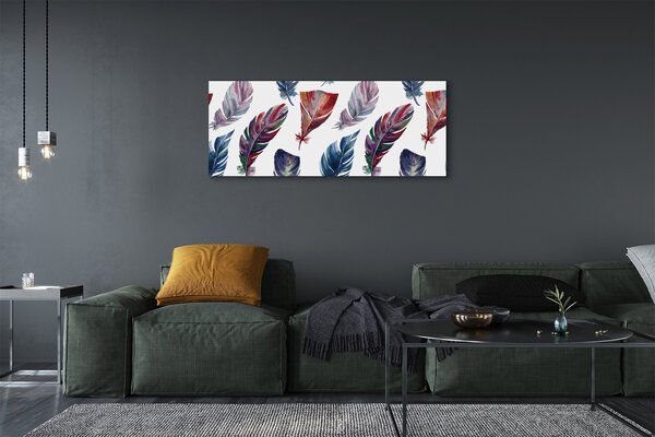 Tablouri canvas pene colorate
