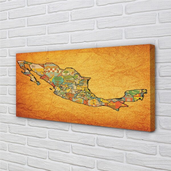 Tablouri canvas Harta colorat