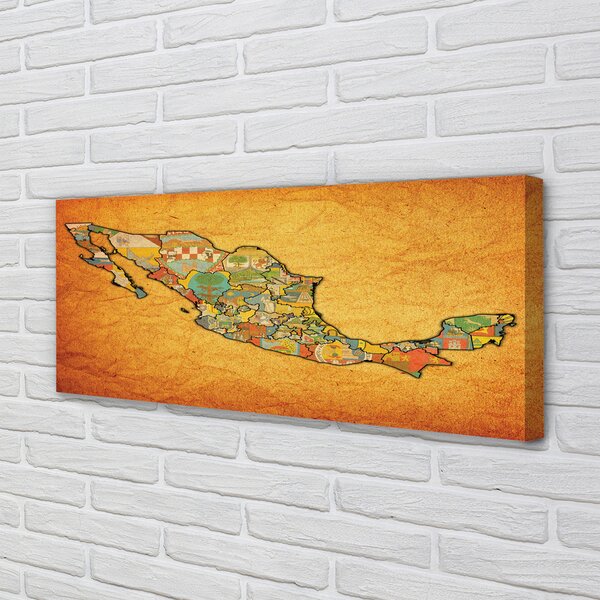 Tablouri canvas Harta colorat