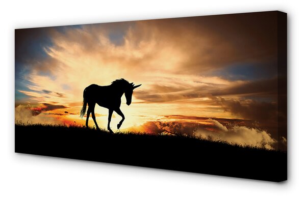 Tablouri canvas apus de soare Unicorn