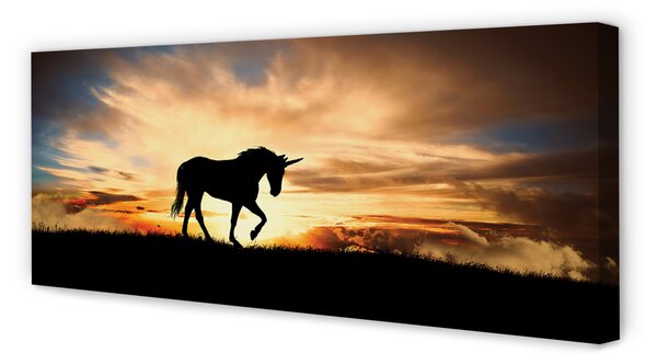 Tablouri canvas apus de soare Unicorn