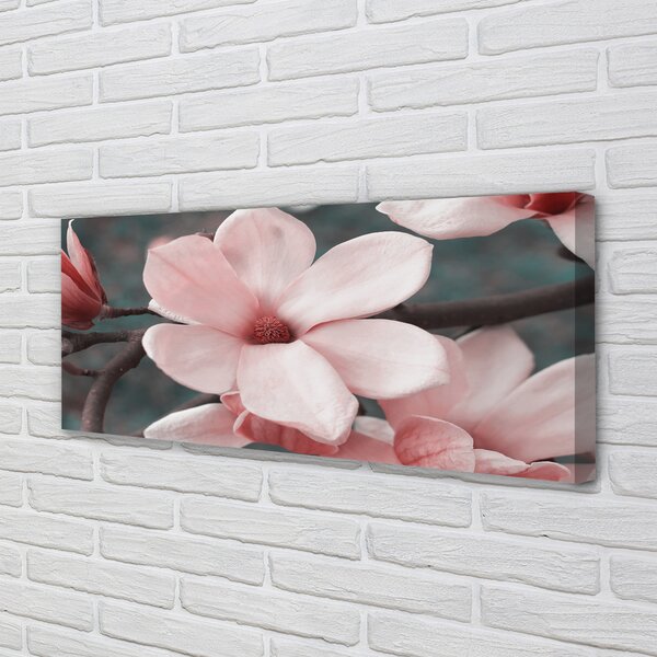 Tablouri canvas flori roz