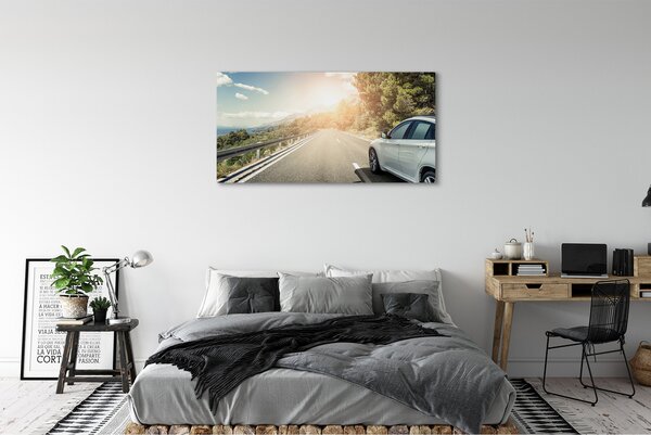 Tablouri canvas Munții nori de copaci rutier auto