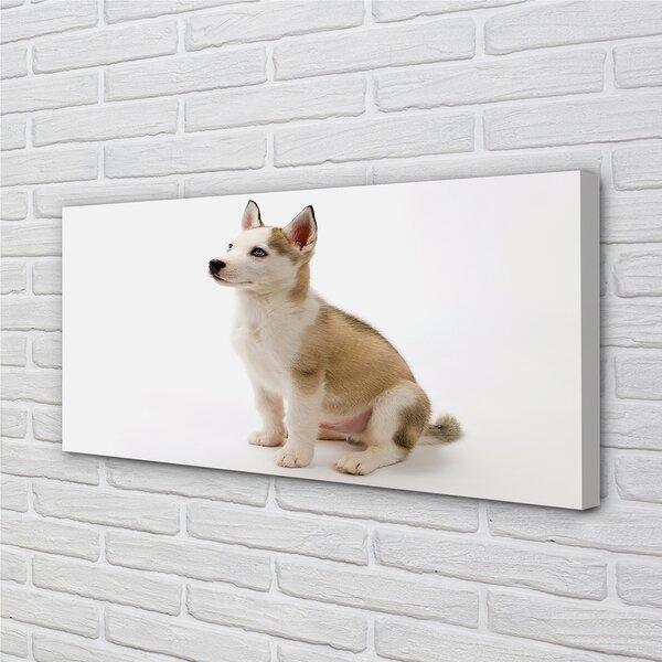 Tablouri canvas Stând câine mic
