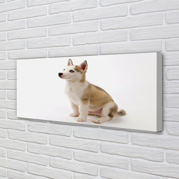 Tablouri canvas Stând câine mic