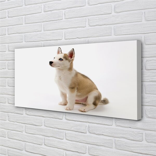 Tablouri canvas Stând câine mic
