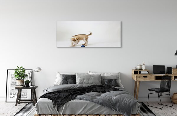 Tablouri canvas Redarea cu câinele