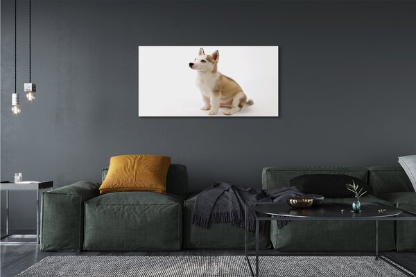 Tablouri canvas Stând câine mic