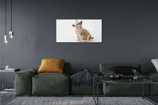Tablouri canvas Stând câine mic