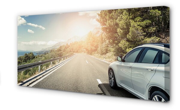 Tablouri canvas Munții nori de copaci rutier auto