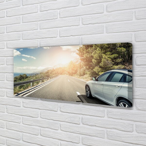 Tablouri canvas Munții nori de copaci rutier auto