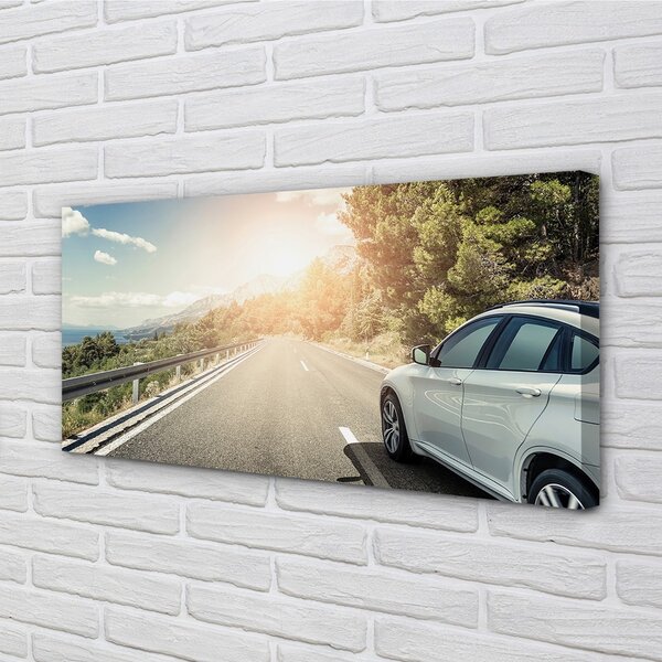 Tablouri canvas Munții nori de copaci rutier auto
