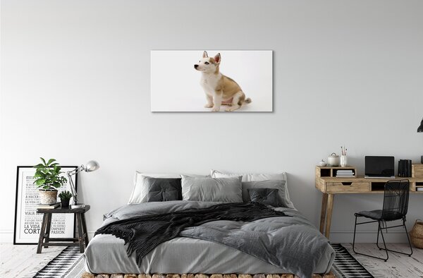 Tablouri canvas Stând câine mic