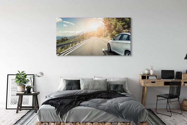 Tablouri canvas Munții nori de copaci rutier auto