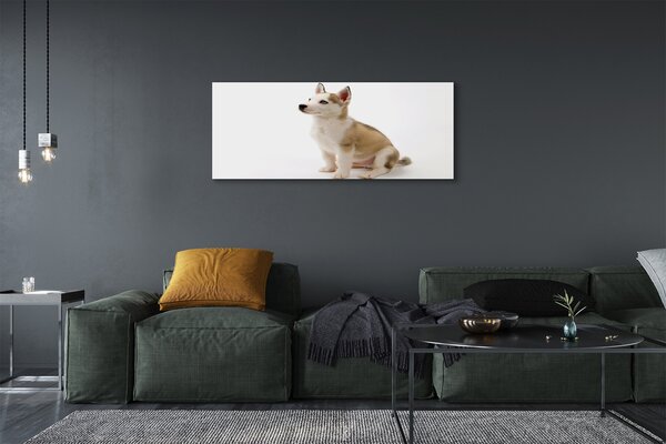 Tablouri canvas Stând câine mic