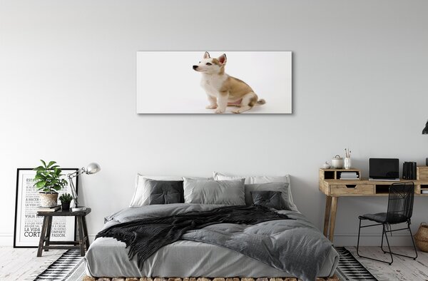 Tablouri canvas Stând câine mic